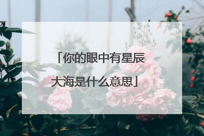 你的眼中有星辰大海是什么意思
