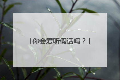 你会爱听假话吗?
