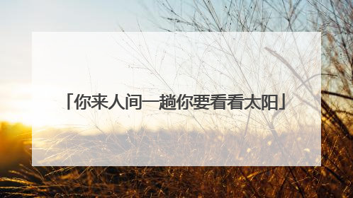 你来人间一趟你要看看太阳