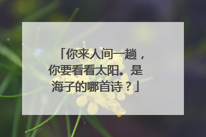 你来人间一趟,你要看看太阳。是海子的哪首诗?