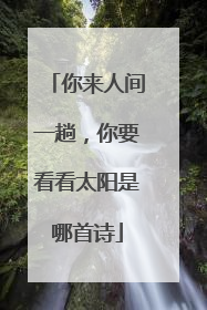 你来人间一趟,你要看看太阳是哪首诗