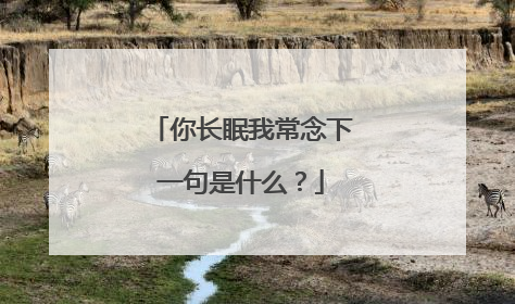 你长眠我常念下一句是什么?