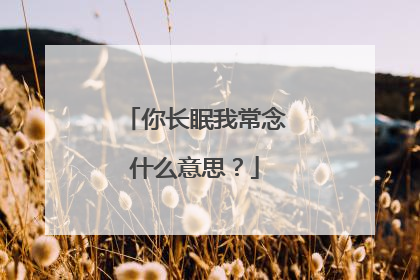 你长眠我常念什么意思?