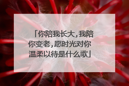 你陪我长大,我陪你变老,愿时光对你温柔以待是什么歌