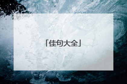 佳句大全