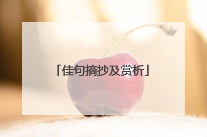 佳句摘抄及赏析