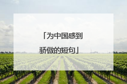 为中国感到骄傲的短句