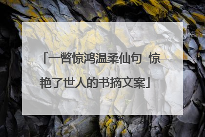 一瞥惊鸿温柔仙句 惊艳了世人的书摘文案