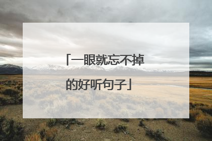 一眼就忘不掉的好听句子