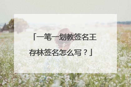 一笔一划教签名王存林签名怎么写？