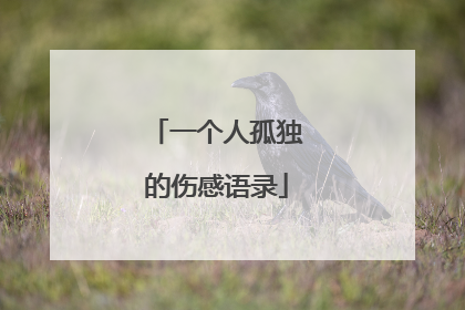 一个人孤独的伤感语录