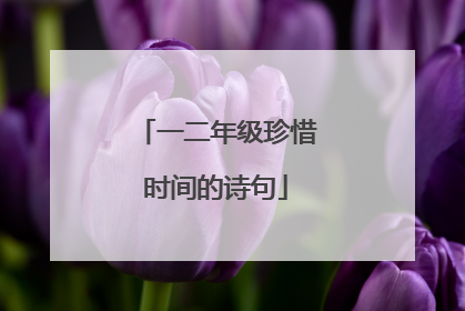 一二年级珍惜时间的诗句