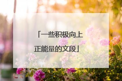 一些积极向上正能量的文段