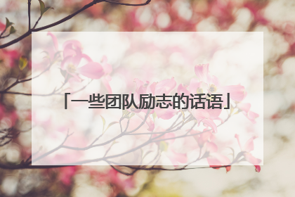 一些团队励志的话语