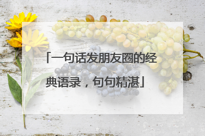 一句话发朋友圈的经典语录,句句精湛