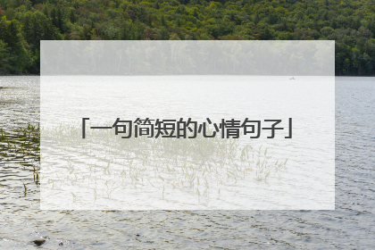 一句简短的心情句子
