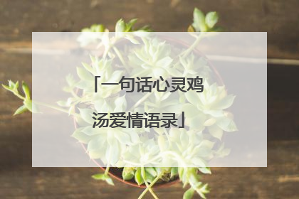 一句话心灵鸡汤爱情语录