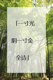 一寸光阴一寸金全诗