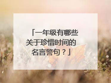 一年级有哪些关于珍惜时间的名言警句?