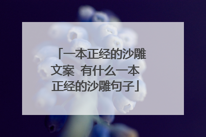一本正经的沙雕文案 有什么一本正经的沙雕句子