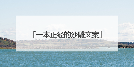 一本正经的沙雕文案