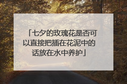 七夕的玫瑰花是否可以直接把插在花泥中的话放在水中养护