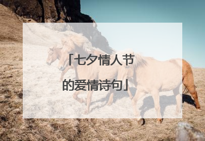 七夕情人节的爱情诗句