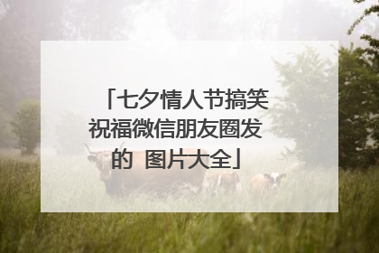 七夕情人节搞笑祝福微信朋友圈发的 图片大全