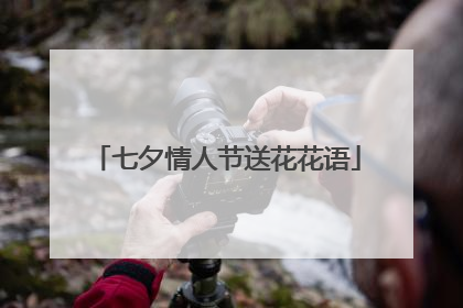 七夕情人节送花花语