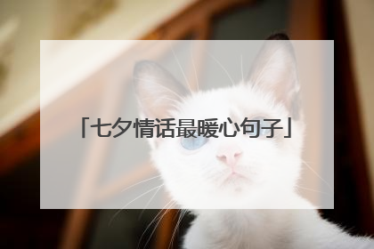 七夕情话最暖心句子