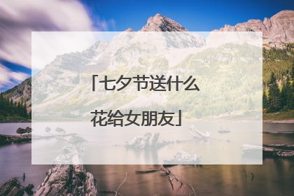 七夕节送什么花给女朋友