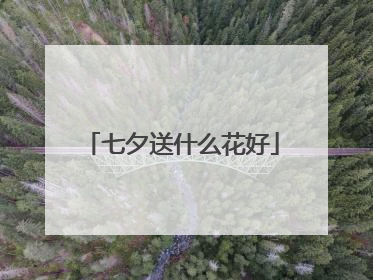 七夕送什么花好