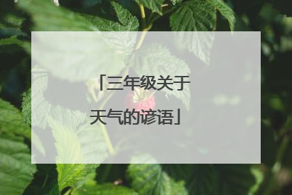 三年级关于天气的谚语