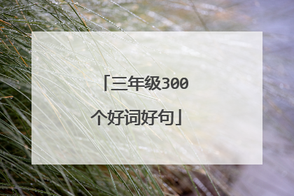 三年级300个好词好句