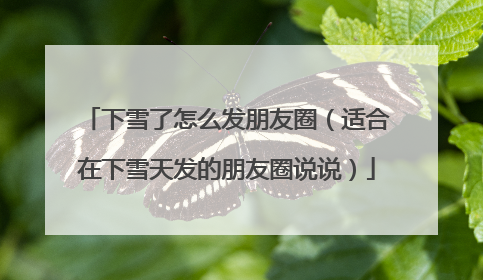 下雪了怎么发朋友圈(适合在下雪天发的朋友圈说说)