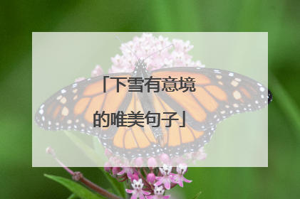 下雪有意境的唯美句子