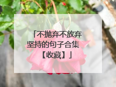 不抛弃不放弃坚持的句子合集 【收藏】