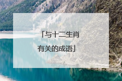 与十二生肖有关的成语