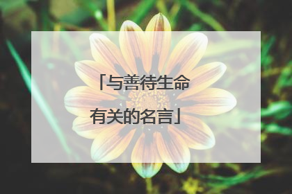 与善待生命有关的名言