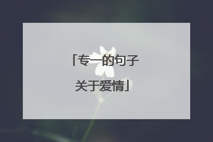 专一的句子 关于爱情