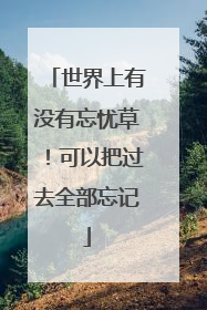 世界上有没有忘忧草！可以把过去全部忘记