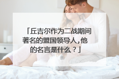 丘吉尔作为二战期间著名的盟国领导人,他的名言是什么?