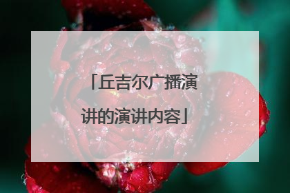 丘吉尔广播演讲的演讲内容