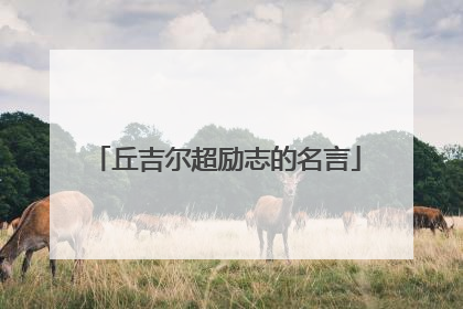丘吉尔超励志的名言