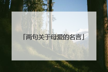 两句关于母爱的名言