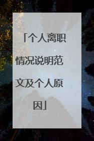 个人离职情况说明范文及个人原因