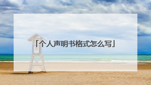 个人声明书格式怎么写
