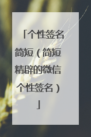 个性签名简短(简短精辟的微信个性签名)