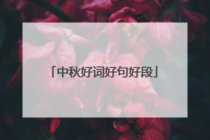 中秋好词好句好段