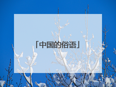 中国的俗语